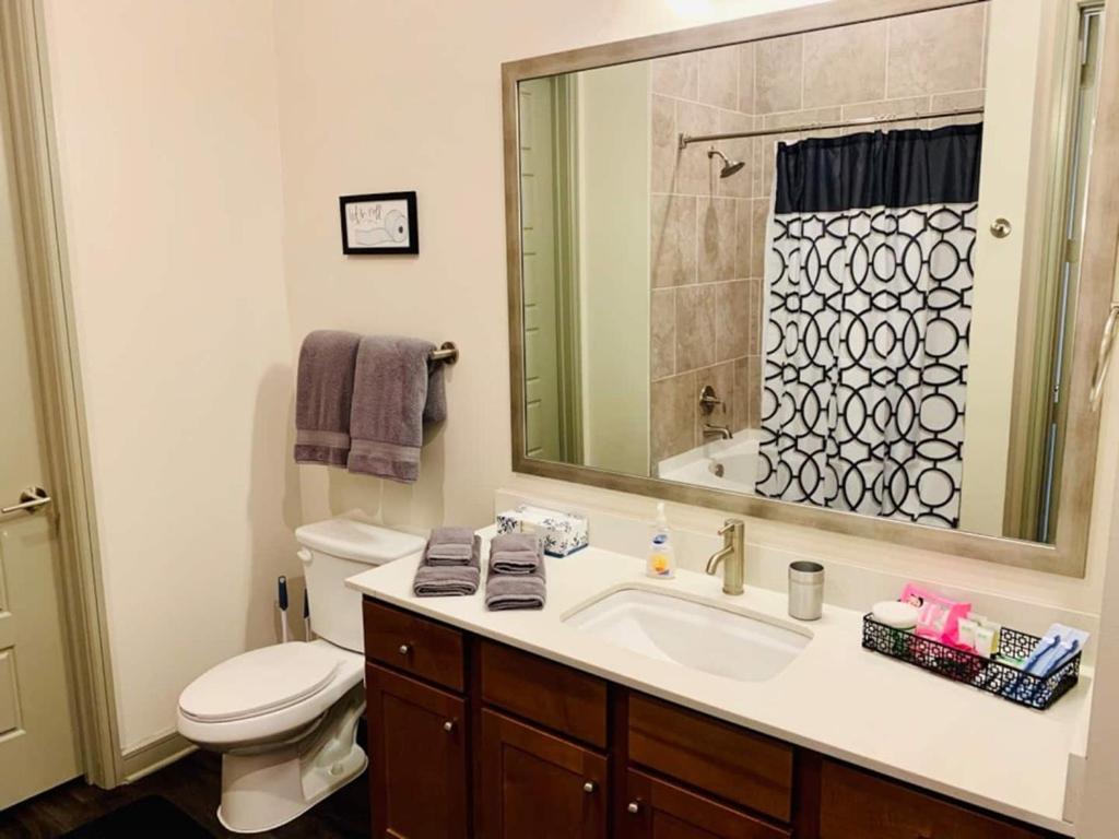 Downtown Apt Free Parking - Pool - Gym - Fully Kitchen Houston Kültér fotó
